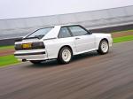 Audi Sport Quattro 1984 года (WW)